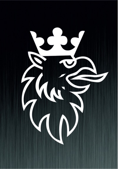 Scanıa R Logo Oto Özel Yeni Sticker 35 25 Cm