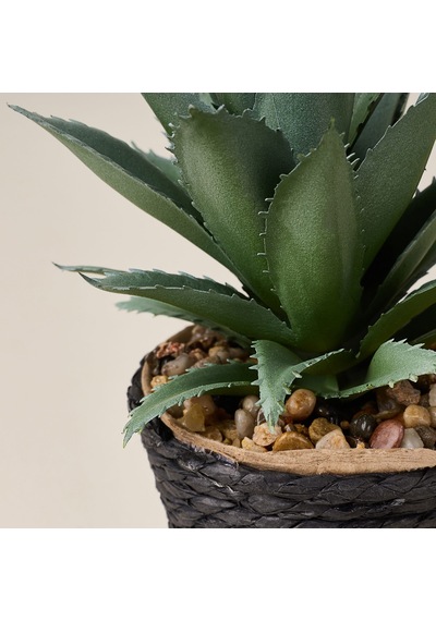 Deco Saksılı Yapay Sukulent - Bej / Yeşil - 15x9 Cm Çok Renkli