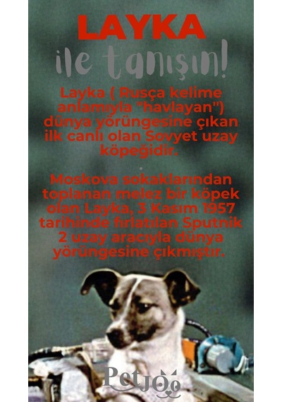 Petjoo 22.Layka Gri-Kırmızı Qr'lı Köpek Künyesi