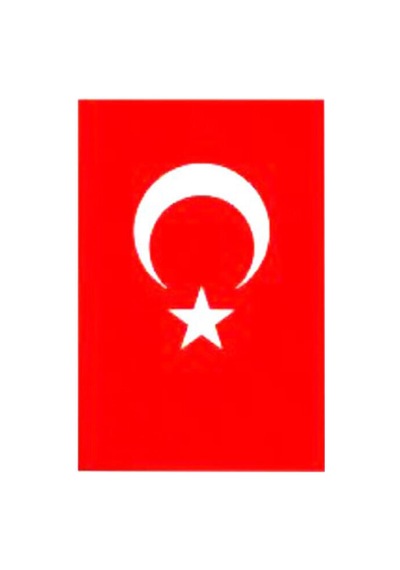 4 Adet Türk Bayrak 30x45