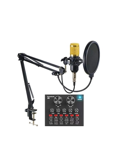 Bm-800 + V8 Ses Kartı Kiti Podcast Ekipman Paket Ses Ağı Profesyonel Studyo Mikrofonu Karaoke Diyafram Kondenser Mikrofon Karaoke Kiti