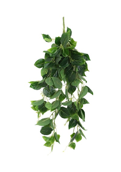 Gerçek Dokulu Islak Lüx Sarmaşık 100 Cm Sivri Model