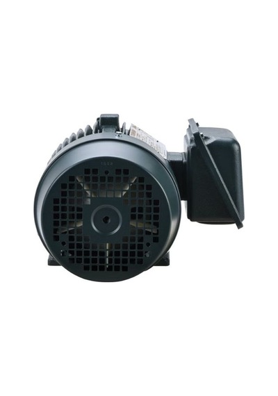 Toshiba Eqp Global Sd 2 Hp 1.5 Kw 1750 Rpm Nema 145t Elektrik Motoru 0024sdsr41a-p