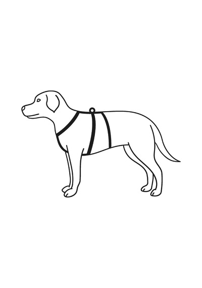 Köpek Kolay Kontrol Göğüs Tasması L-xl