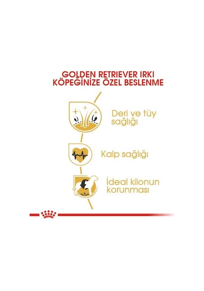 Royal Canin Golden Retriever Yetişkin Köpek Maması 12 KG