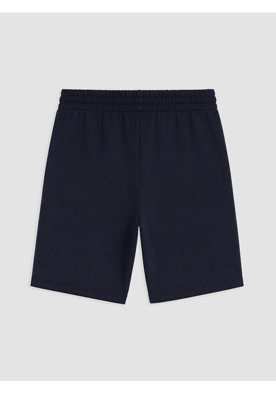 LC Waikiki Lc Waıkıkı Lacivert Regular Fit Psg Baskılı Erkek Şort