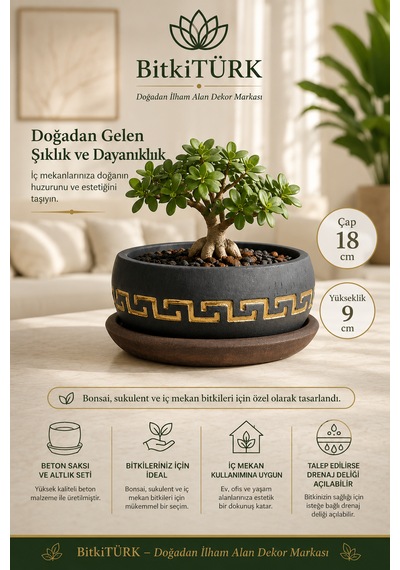 Dekoratif Desenli Beton Bonsai Saksısı Ve Altlık Seti 18 Cm Sukulent Ve İç Mekân Bitkileri İçin El Yapımı Saksı -