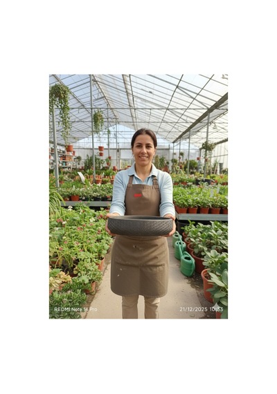 Hanımeli Taş Saksı 25 8 Cm Yaklaşık