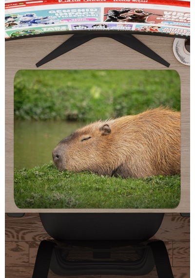 Capybara Kaymaz Dikişli Kauçuk Oyuncu Mousepad V1 - 48x40 Xl Gaming Mouse Pad Fare Altlığı
