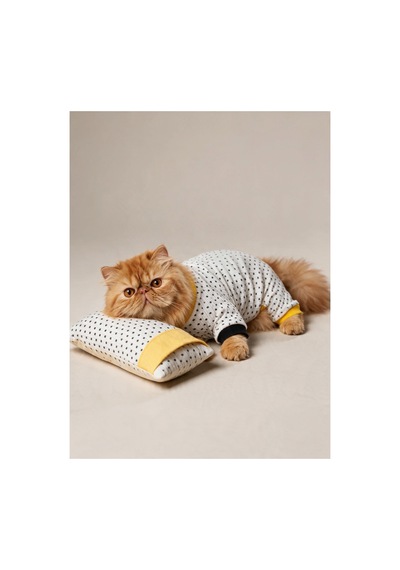 Spotty Sunny Minny Kedi Uyku Seti Siyah Beyaz Puantiyeli Penye Kedi Tulumu Ve Mini Yastık