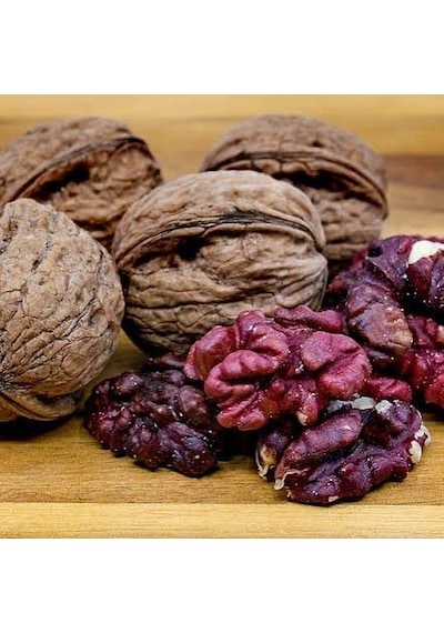 3 Yaş Aşılı Kırmızı Ceviz Fidanı
