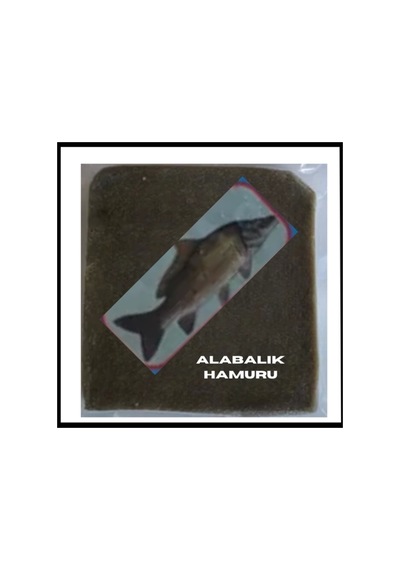 Alabalık Hamuru Vakumlu-spe.111