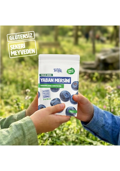 Dondurularak Kurutulmuş Yaban Mersini 18 G Freeze Dried Meyve Cipsi Çıtır Meyve Kurusu 3 Adet