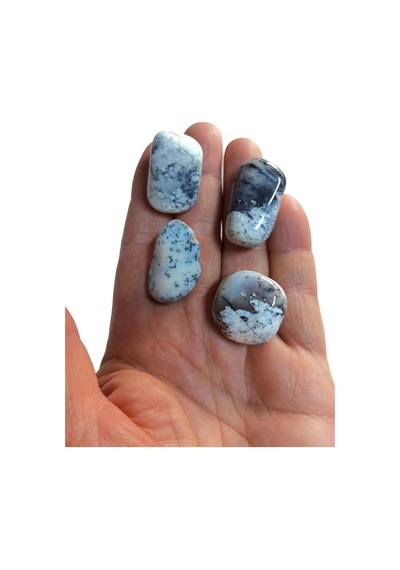 50 Gram Merlinit Dendritli Opal Tamburlu Parçalar 239-2