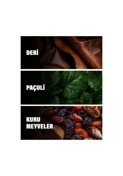 Ursa 5 Ml Erkek Parfüm Çiçeksi