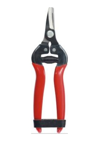 Ital 803A-1 Meyve Ve Hasat Makası Eğik Ağızlı 165Mm N11.209