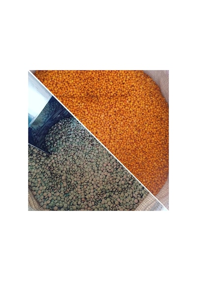 Kırmızı Mercimek 2 Kg Yeşil Mercimek 2 Kg Net 4 Kg