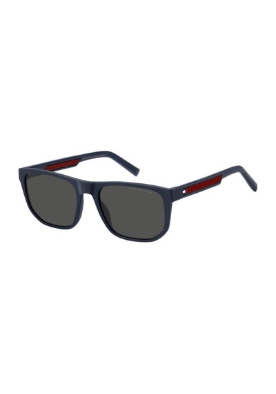 Tommy Hilfiger Th 2200/s-8ru Mavı Erkek Güneş Gözlüğü Lacivert