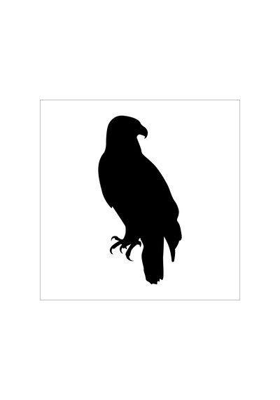 Kartal Folyo Sticker Derstv751 90 Cm Uzunluk Siyah