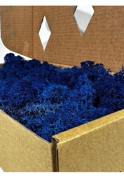 Reindermoss Şoklanmış Norveç Yosunu Terarium Yosunu Mavi 5 Kg.