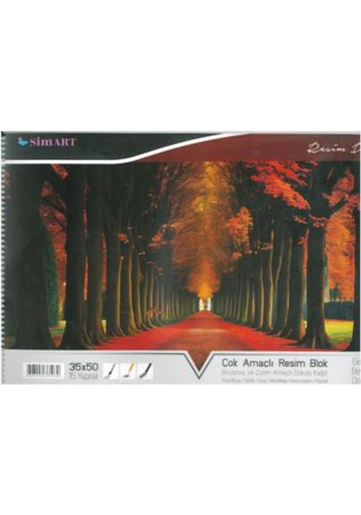Sim Karton Kapak Spr Resim Defteri 34x48 15 Yp