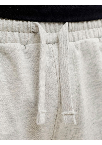 Jack & Jones Karl Norrebro Erkek Gri Şort 12292565-wm