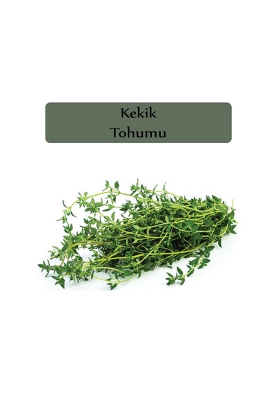 Zencefil Organik Kekik Tohumu 1 Paket 500 + Adet
