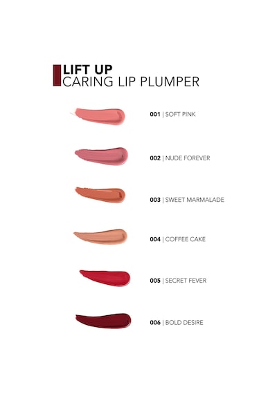 Flormar Lift Up Dolgun Görünüm Veren & Hyaluronik Asit Etkili Dudak Parlatıcısı 006 Bold Desıre