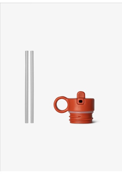 Citron Termos Yedek Pipet Kapağı - Brick 1061121