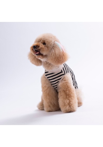 Sunrise Embroline Tişört Kedi Köpek Tişörtü-kedi Köpek Kıyafeti