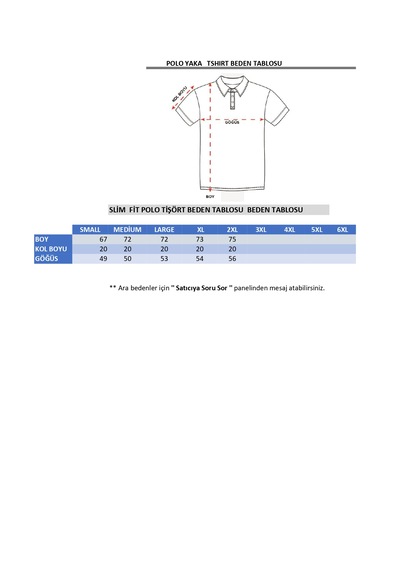 Özeniş Erkek Polo Yaka Slim Fit Çizgili Desen Kaşkorse T-shirt Gri