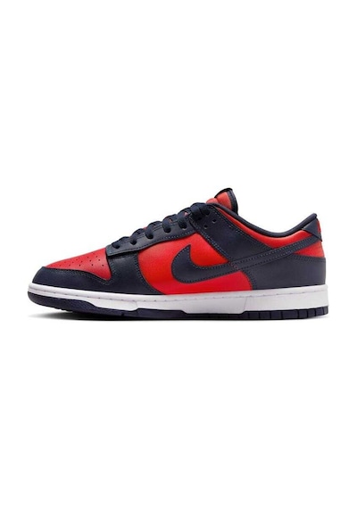 Nike Dunk Low Retro Dv0833-601 Çok Renkli