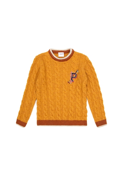 U.S. Polo Assn. Erkek Çocuk Petrol Kazak /triko 50315587-vr151 Oıl