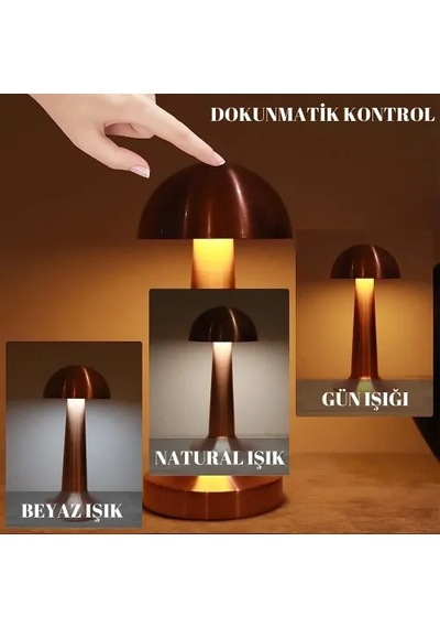 Hubrendy Emin Dekoratif Led Masa Lambası 3 Renk Modlu 16022316