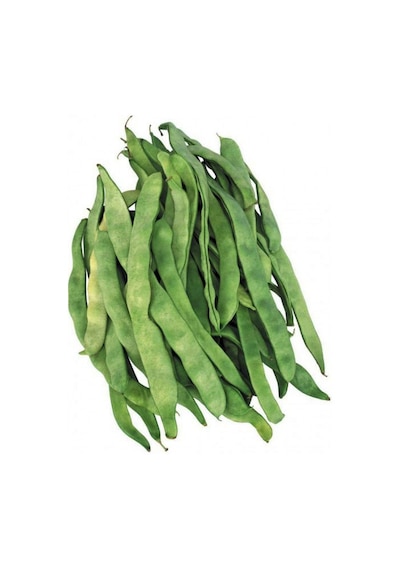 Ayşe Kadın Fasülye Tohumu 1KG 2500+Adt Alman Ayşe Sırık Fasulye