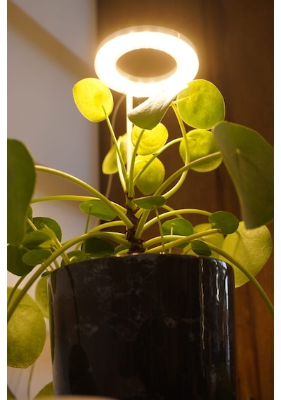 Tam Spektrumlu Bitki Yetiştirme Led Lamba Melek Halka Günışığı 8w 5v Usb