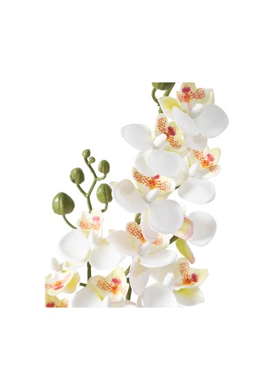 Delphıra Dal Çiçek Beyaz 62 Cm Diğer