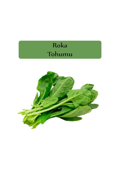 Roka Tohumu 1 Paket Ekmeye Uygun Verimi Yüksek Paket Tohum Roka Bitkisi