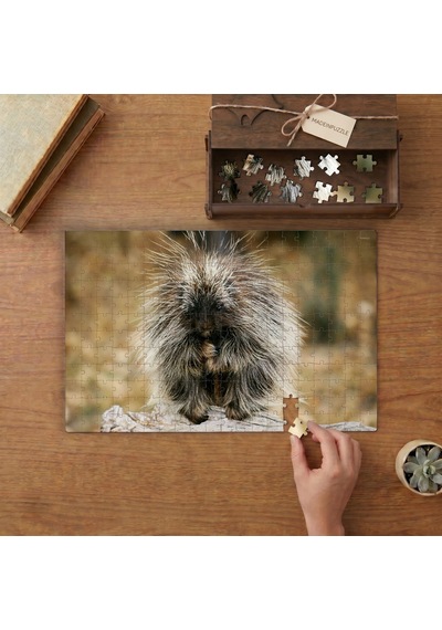Oklu Kirpi Tasarımı 240 Parça Ahşap Puzzle Ahşap Kutuda Mpy50483
