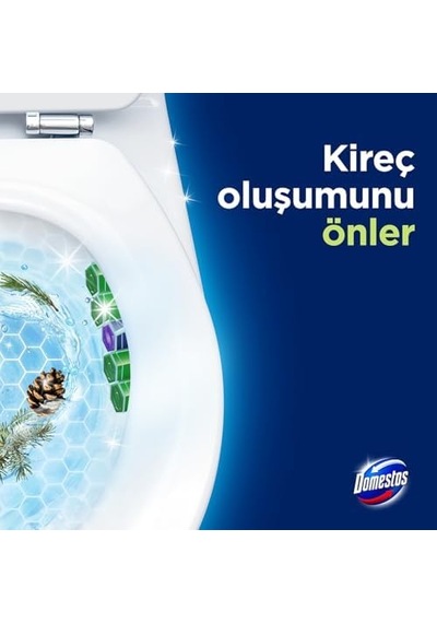 Domestos Tuvalet Bloğu Çam Ormanı 5'li Güç, 250 Gram