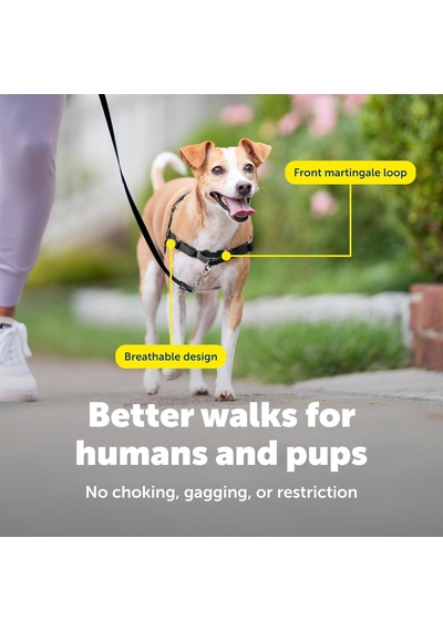 Easy Walk No-pull Köpek Göğüs Tasması, Çekmeyi Önlemeye Yardımcı, Kontrolü Ele Alın Ve Tasmayla Siyah/gümüş