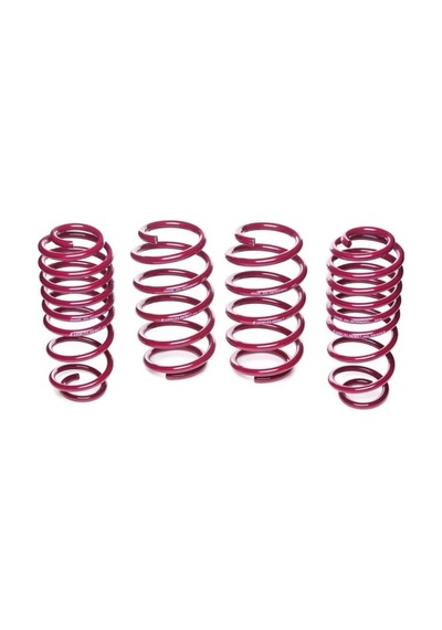 Vogtland 950513 Hyundai Getz 2003 Sonrası 30mm Spor Yay
