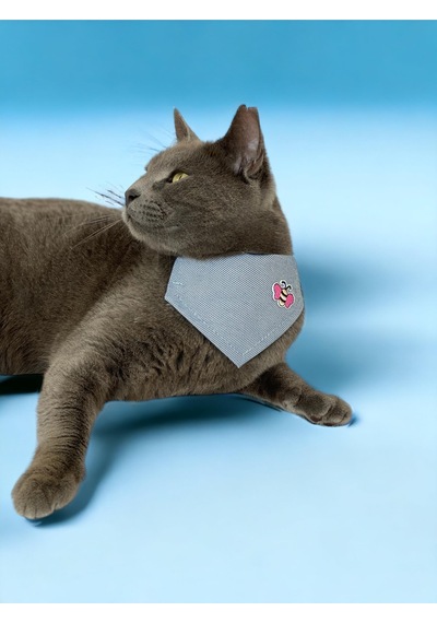 Kemique Butterfly Bandana Fular Kedi Kıyafeti