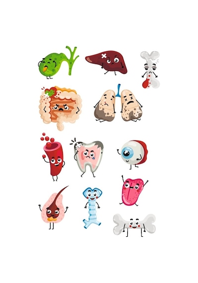 Sevimli Organlar Sticker Set