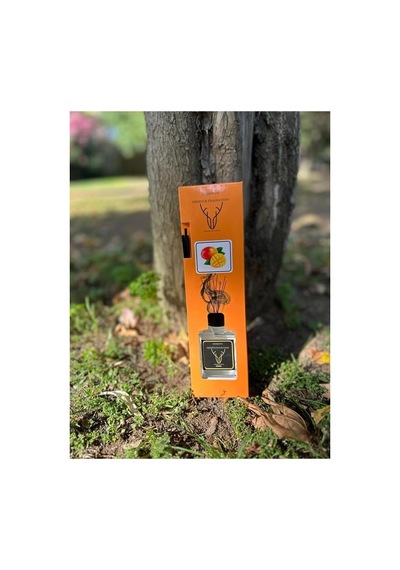 Patronus Mango Çubuklu Oda Kokusu 120 Ml 10'li Paket