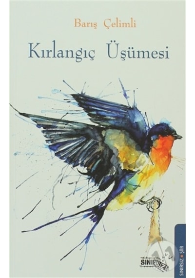 Kırlangıç Üşümesi - Barış Çelimli - Sınırsız Kitap