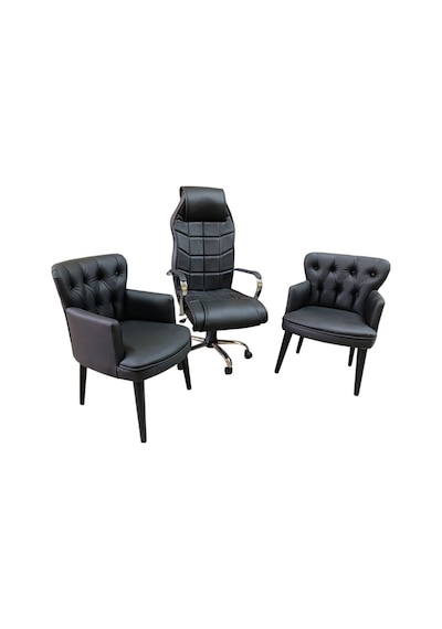 Garden House 2 Tekli Siyah Deri Berjer Ve Makam Koltuğu - Ofis, Bekleme, Kuaför Takımı Siyah Garden House 2 Tekli Siyah Deri Berjer Ve Makam Koltuğu - Ofis, Bekleme, Kuaför Takımı Siyah