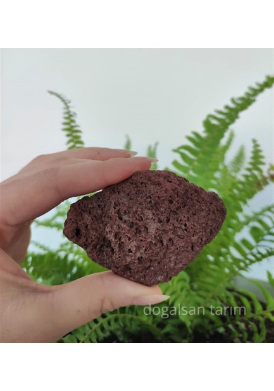 1 Kg 5-10 Cm Akvaryum Taşı Teraryum Taşı Filtre Taş Pomza Taşı