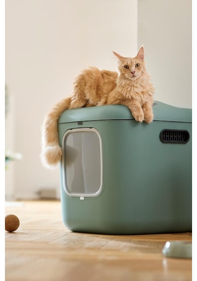 Biala Xl Kedi Tuvaleti Büyük Kediler Ve Çok Kedili Evler İçin İdeal