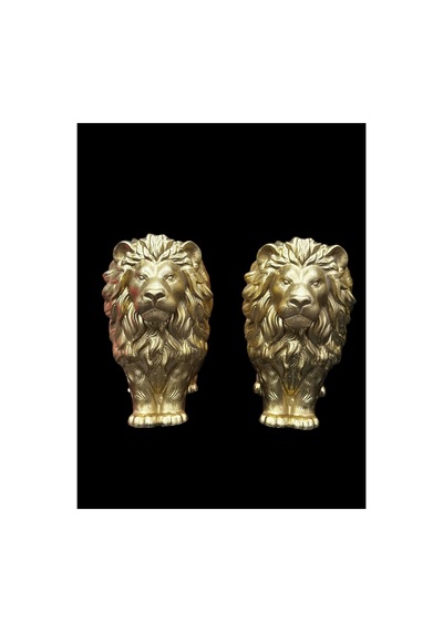 Aslan Biblo Gold Galatasaray Altın Renk 2 Li 10x10 Cm